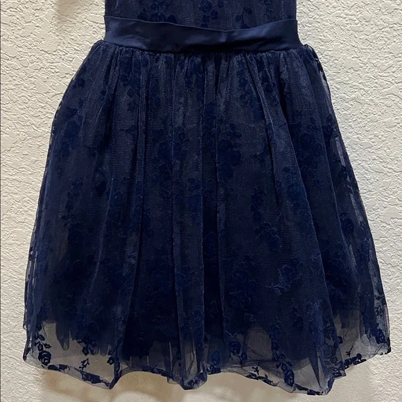 Vintage Janie and Jack Opulent Opera Floral Flocked Tulle Dress size 5 - Picture 3 of 11